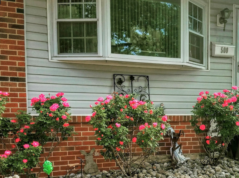 RESIDENTIAL: 500 Launfall Road